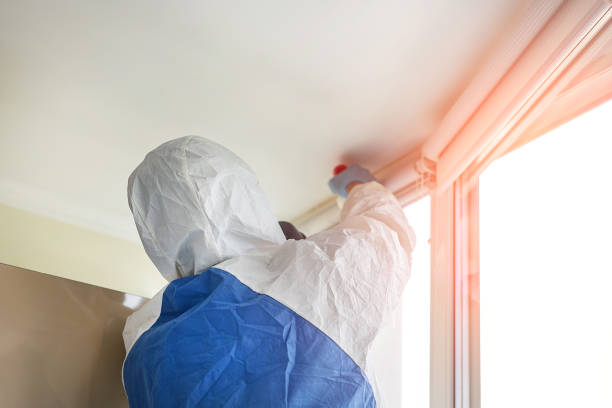 Best Residential Mold Inspection & Testing  in Macdonnell Heights, NY