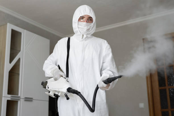 Best Attic Mold Removal  in Macdonnell Heights, NY